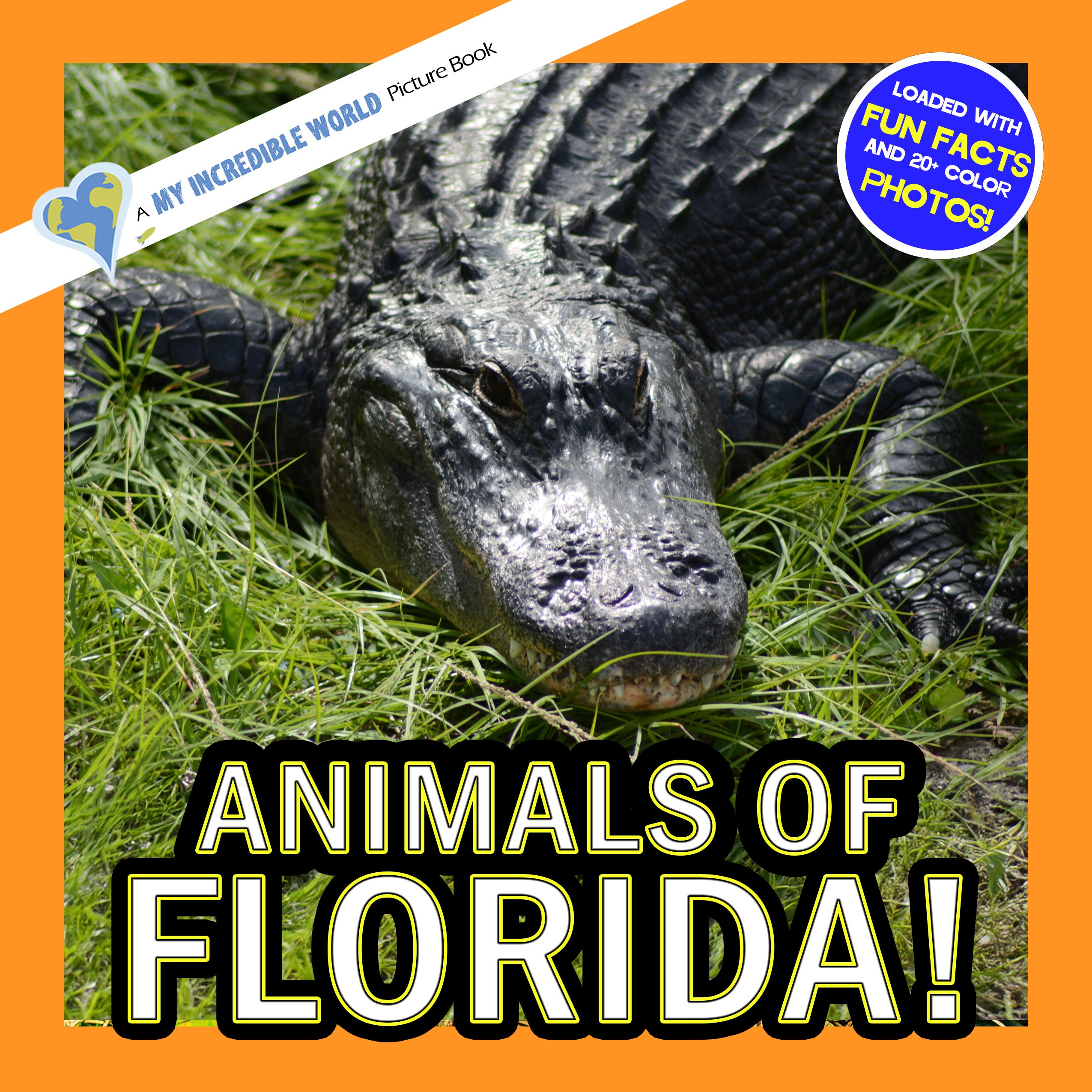 Animals of Florida! A My Incredible World Picture Book for Children