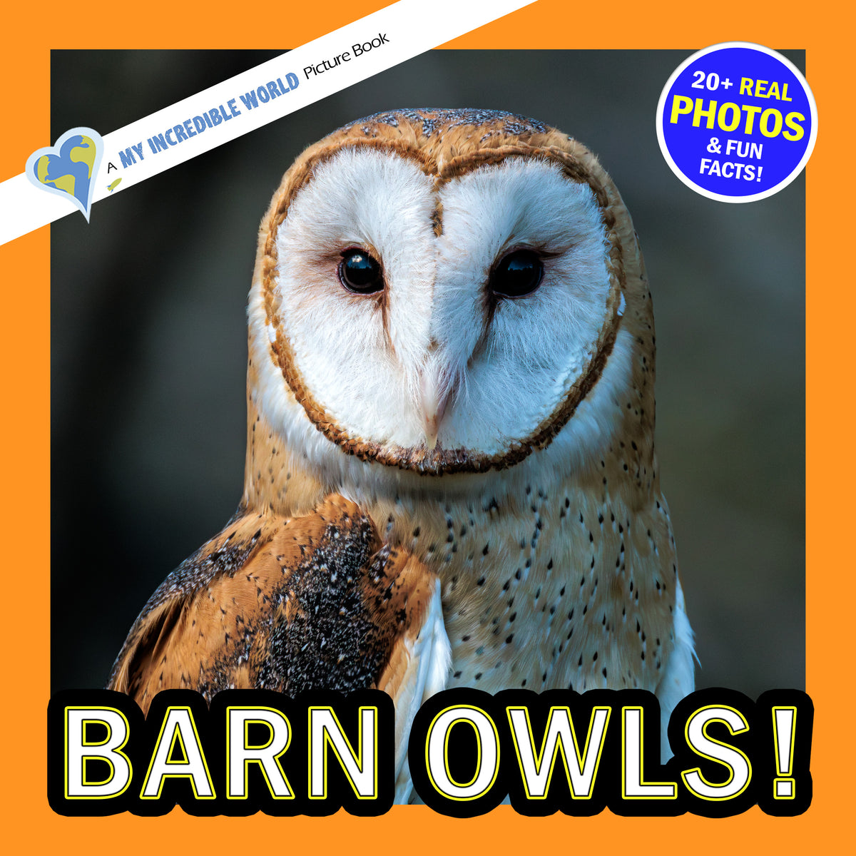 Barn Owls! A My Incredible World Picture Book for Children