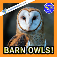 Barn Owls! A My Incredible World Picture Book for Children