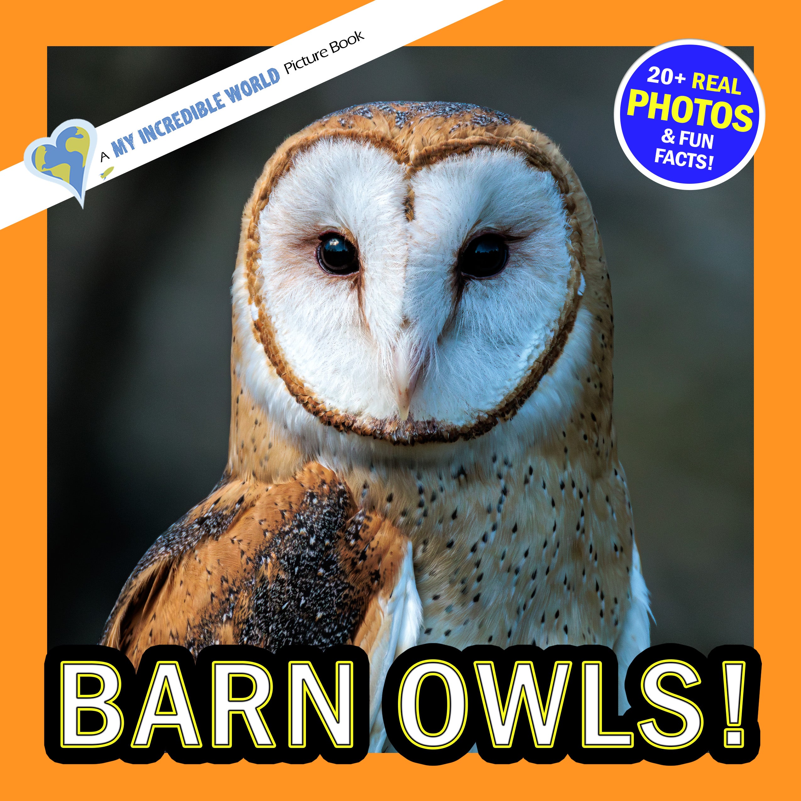 Barn Owls! A My Incredible World Picture Book for Children