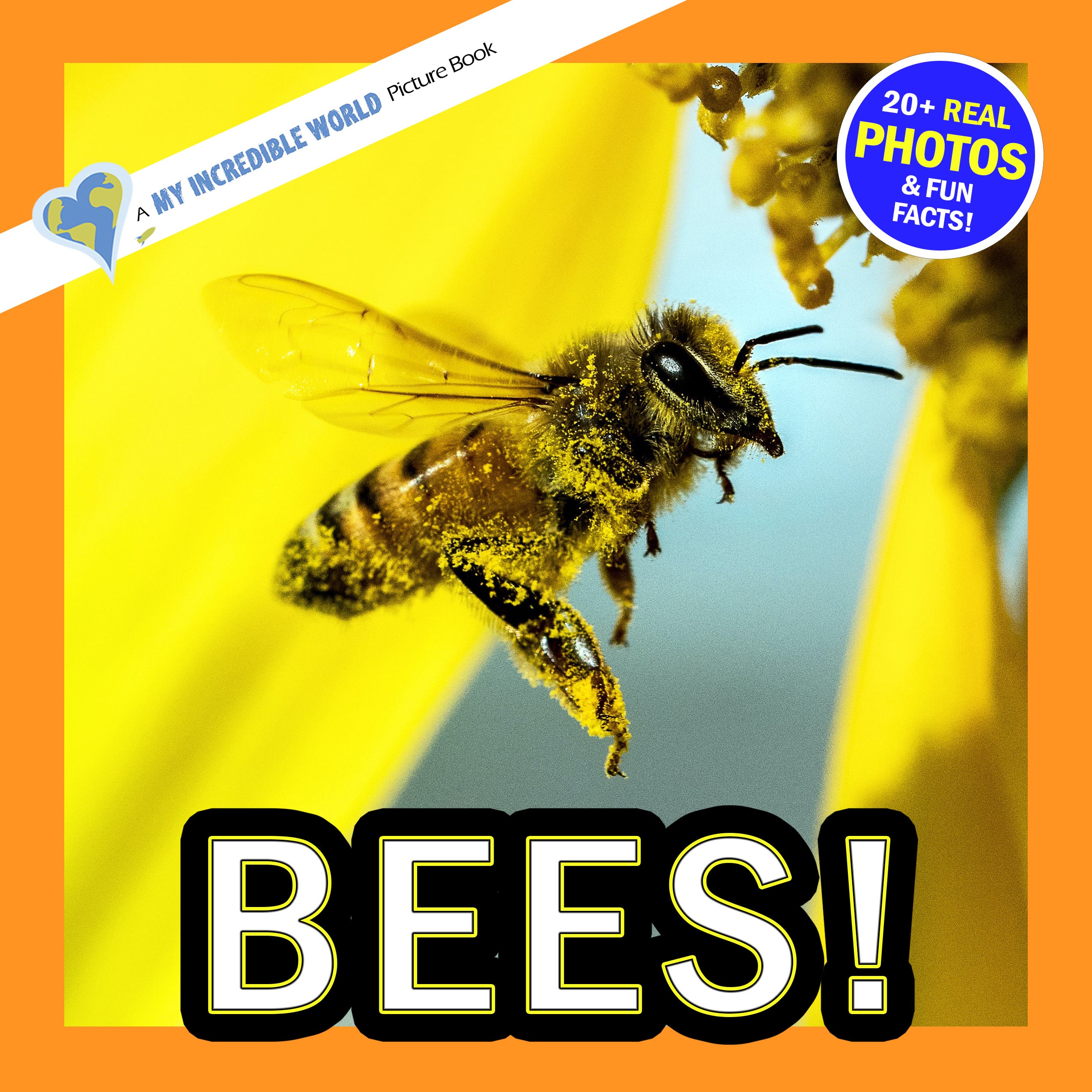 Bees! A My Incredible World Picture Book for Children