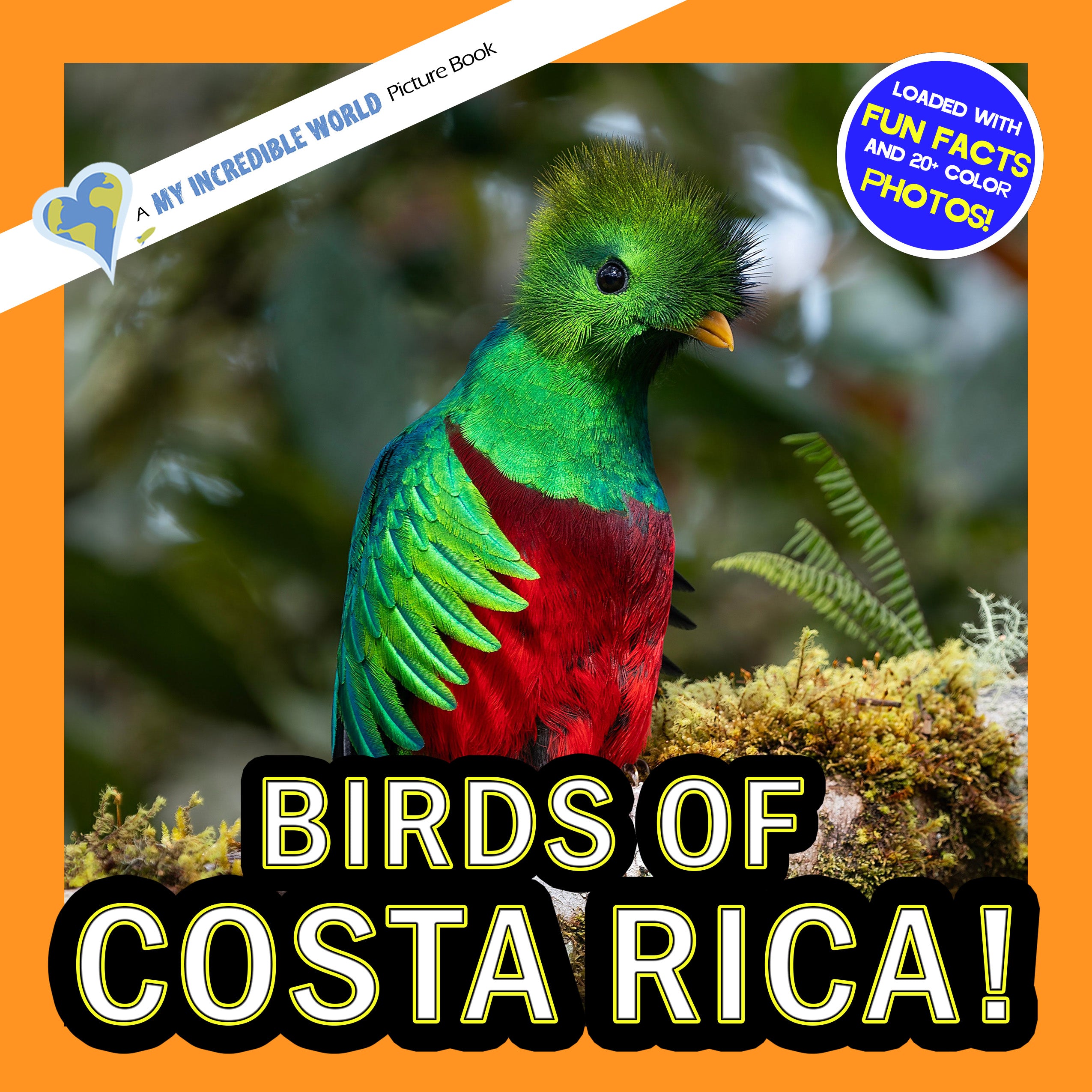 Birds of Costa Rica! A My Incredible World Picture Book for Children