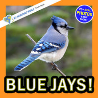 Blue Jays! Classroom 10-Pack