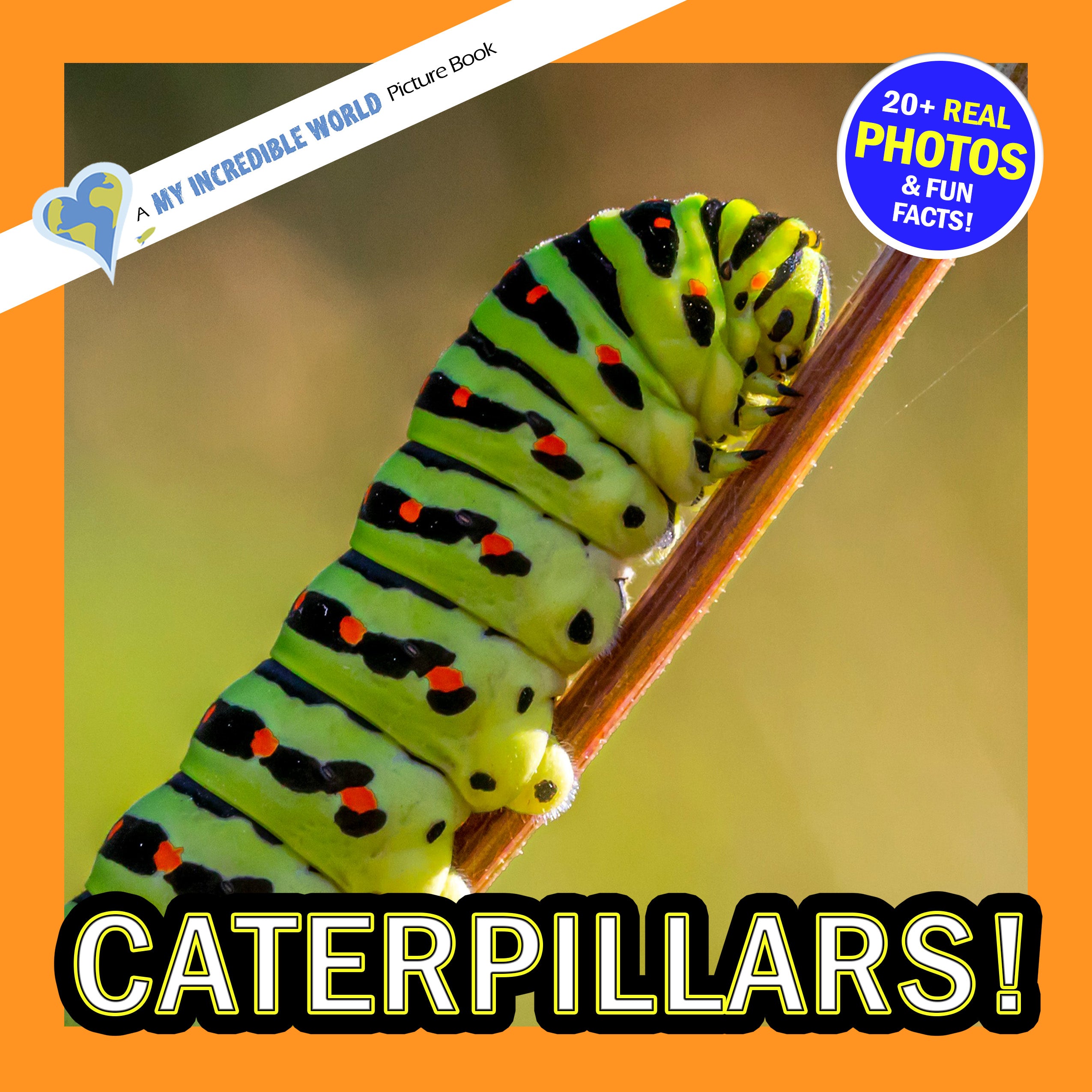 Caterpillars! A My Incredible World Picture Book for Children