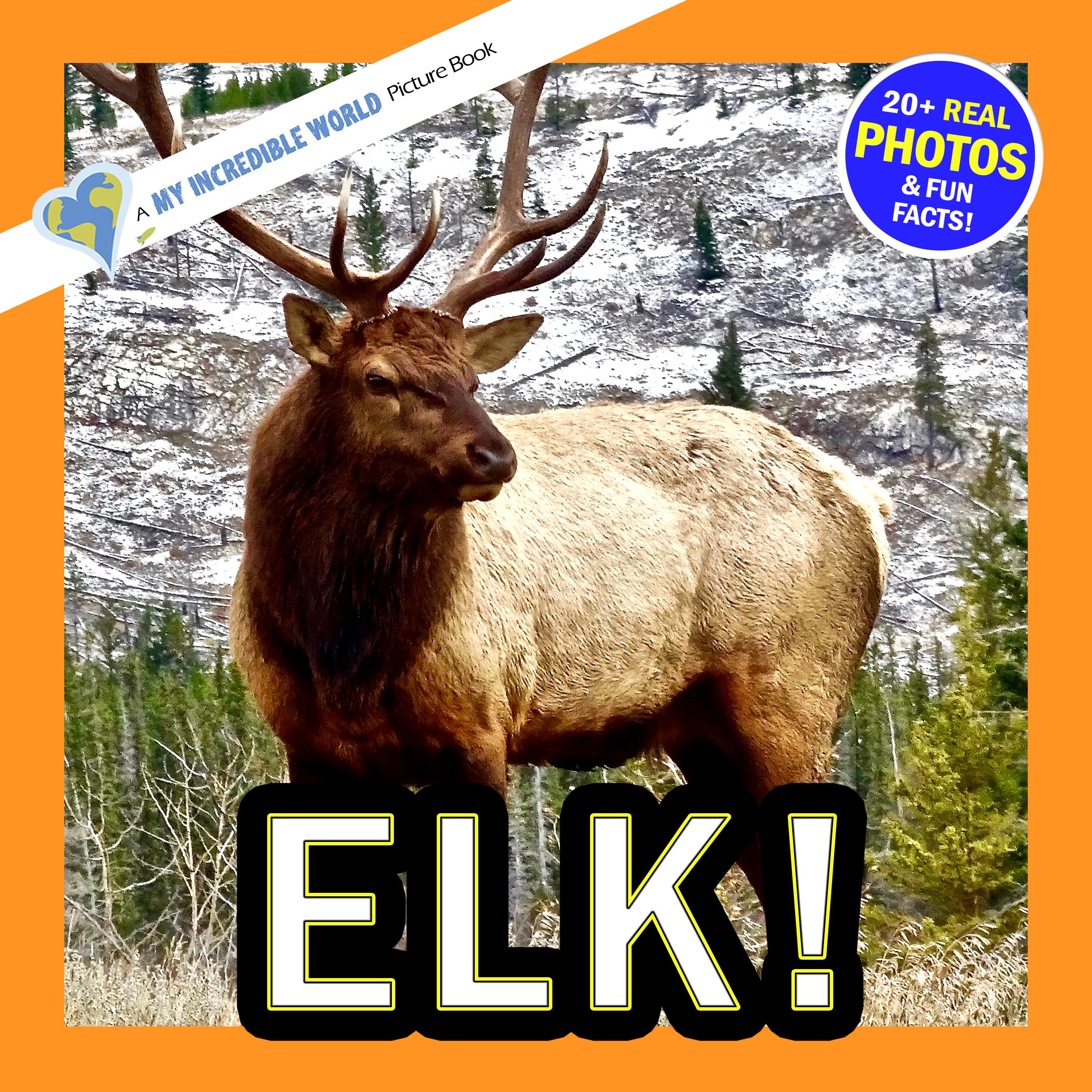 Elk! A My Incredible World Picture Book for Children