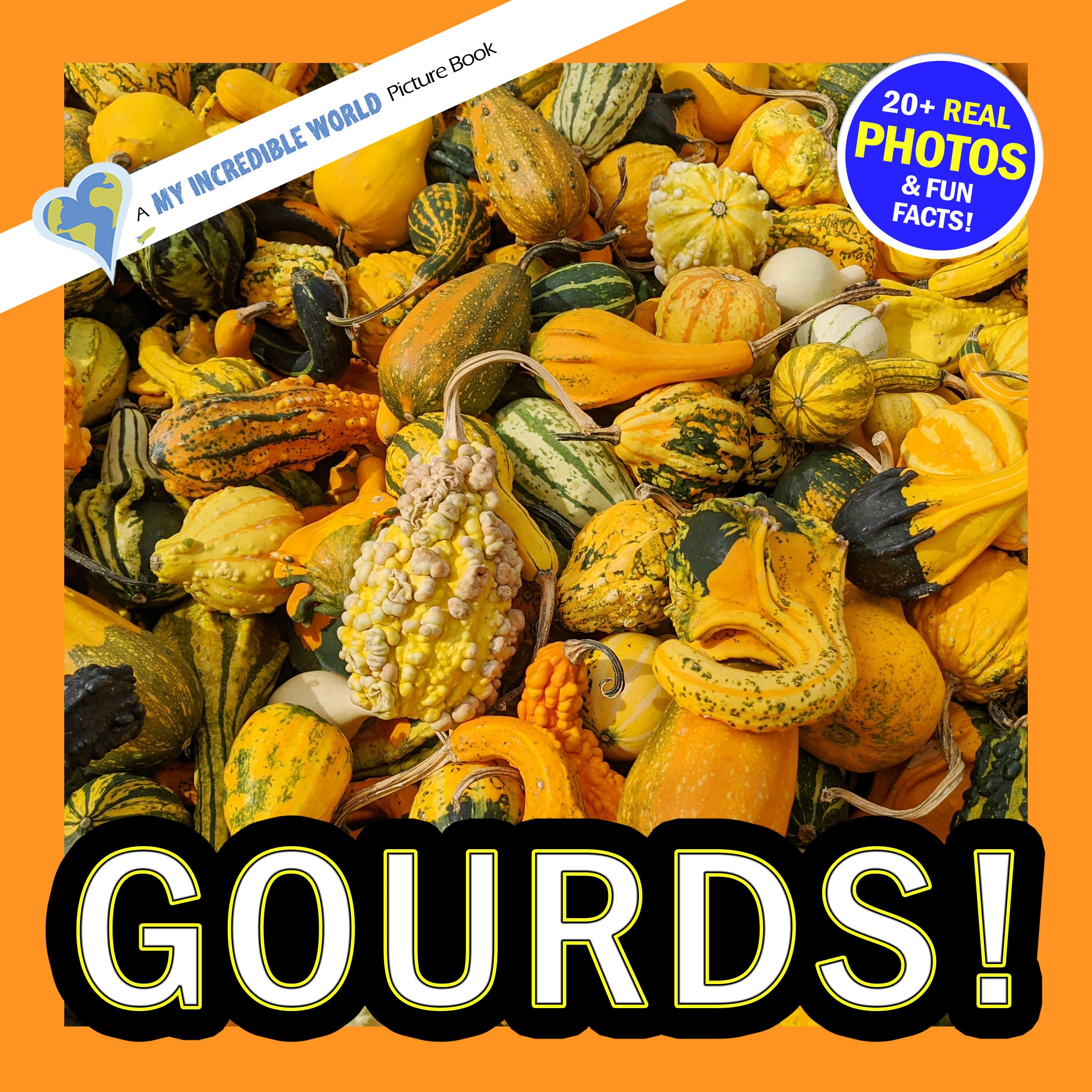 Gourds! A My Incredible World Picture Book for Children