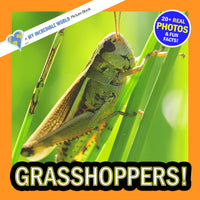 Grasshoppers! A My Incredible World Picture Book for Children