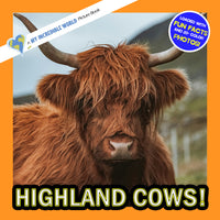 Highland Cows! A My Incredible World Picture Book for Children