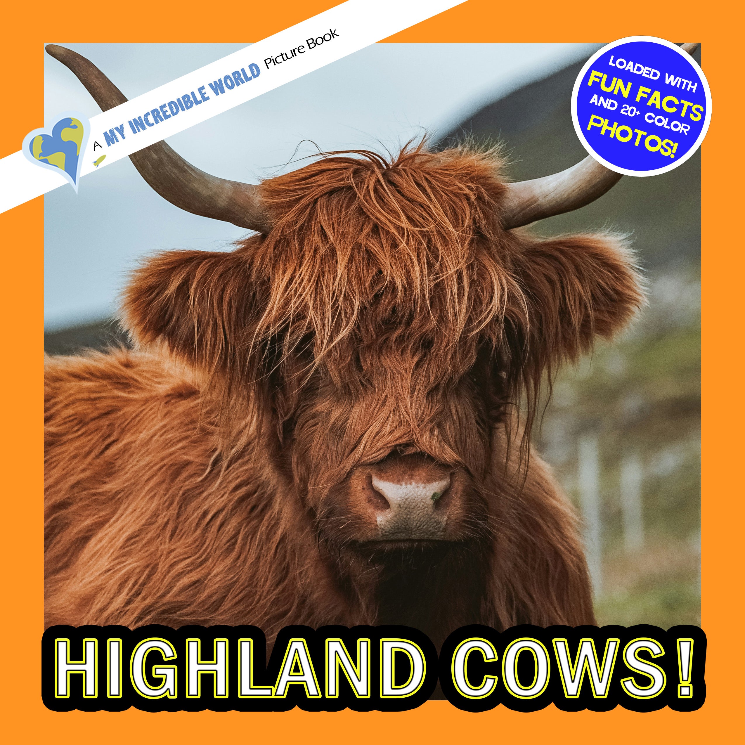 Highland Cows! A My Incredible World Picture Book for Children