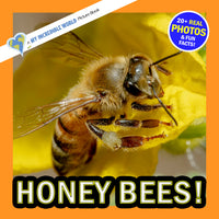 Honey Bees! Classroom 10-Pack
