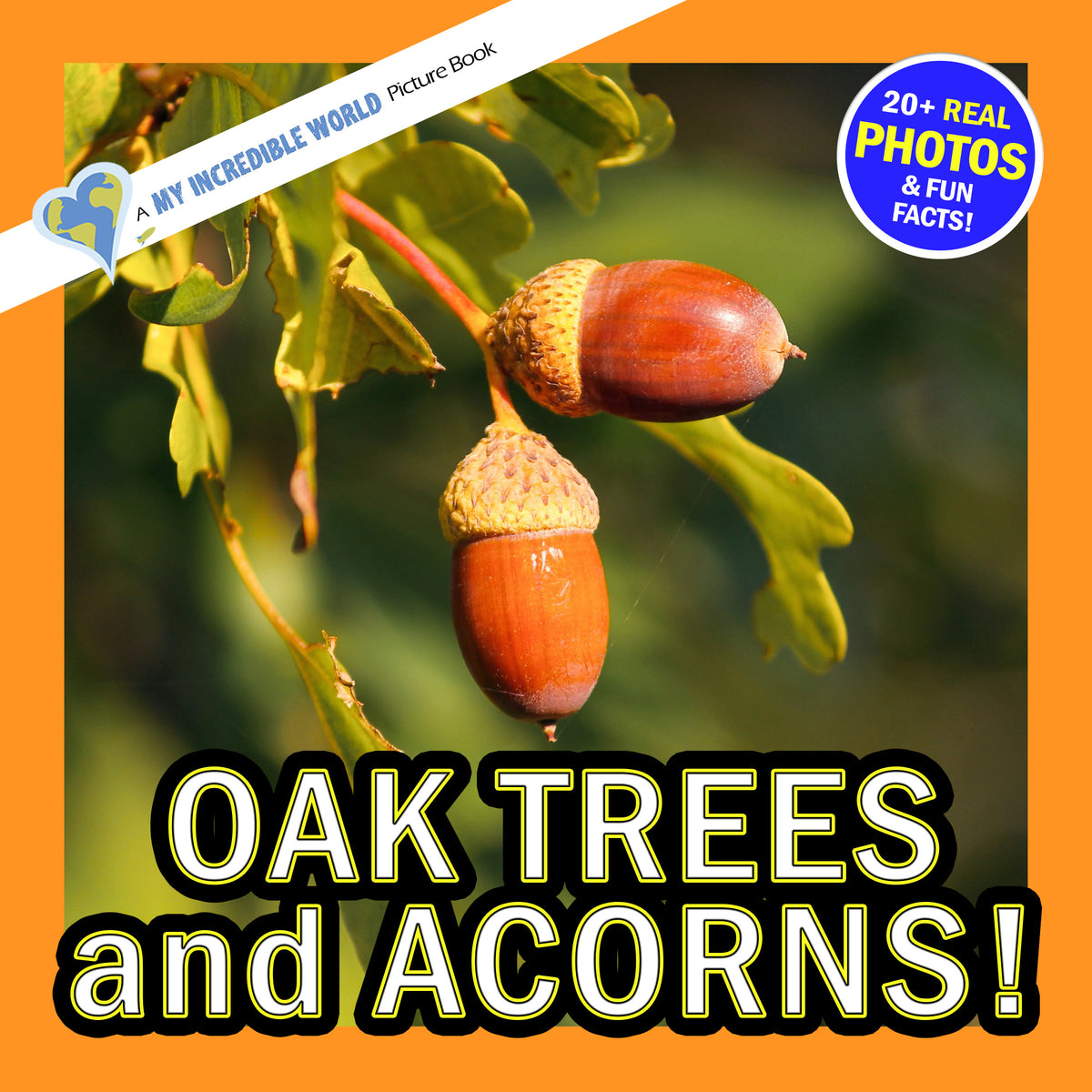 Oak Trees and Acorns! A My Incredible World Picture Book for Children