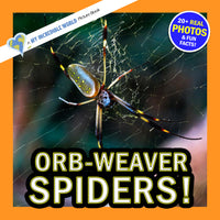 Orb-Weaver Spiders! A My Incredible World Picture Book for Children