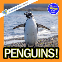Penguins! A My Incredible World Picture Book for Children