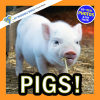 Pigs! A My Incredible World Picture Book for Children