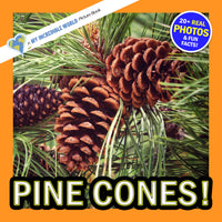 Pine Cones! A My Incredible World Picture Book for Children