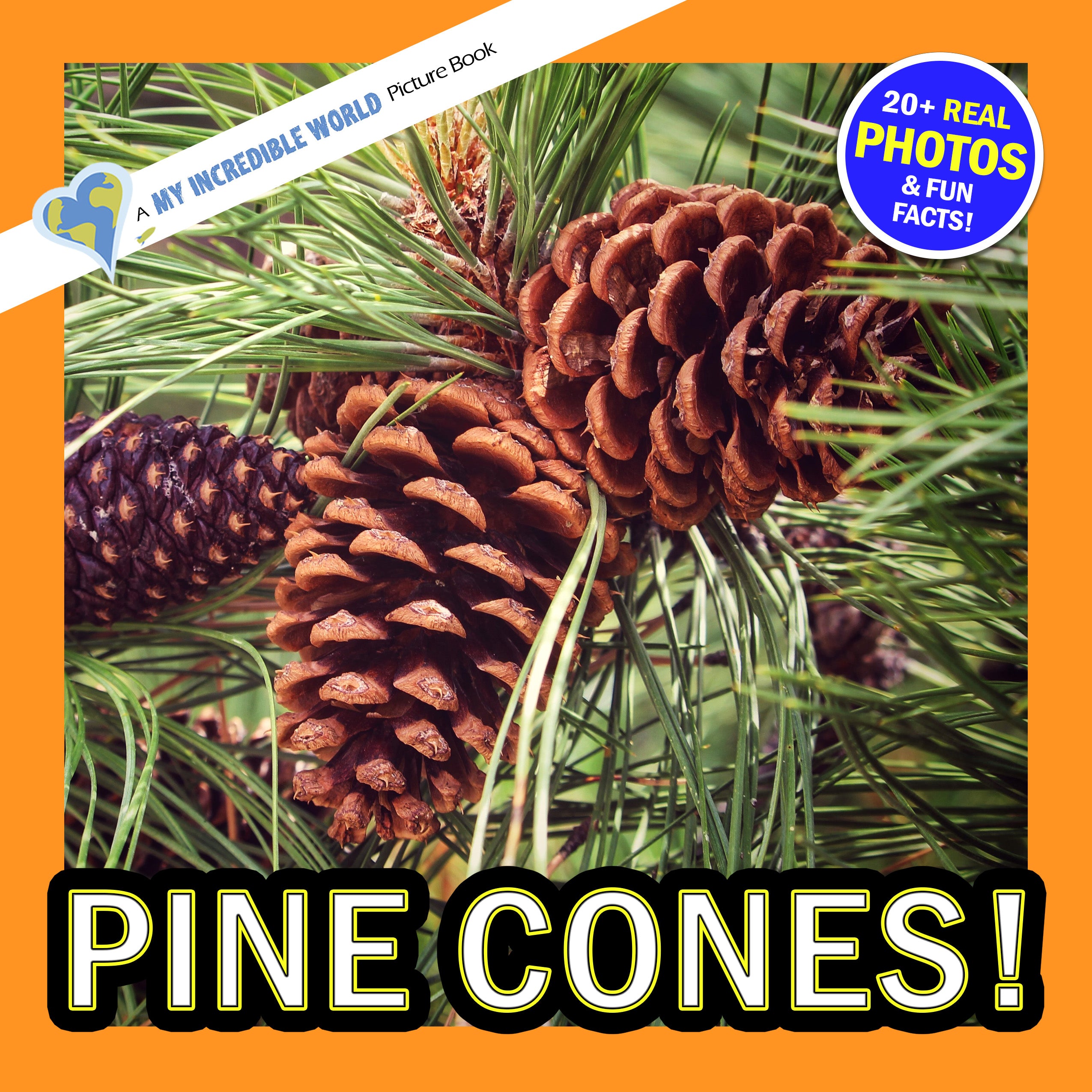 Pine Cones! A My Incredible World Picture Book for Children