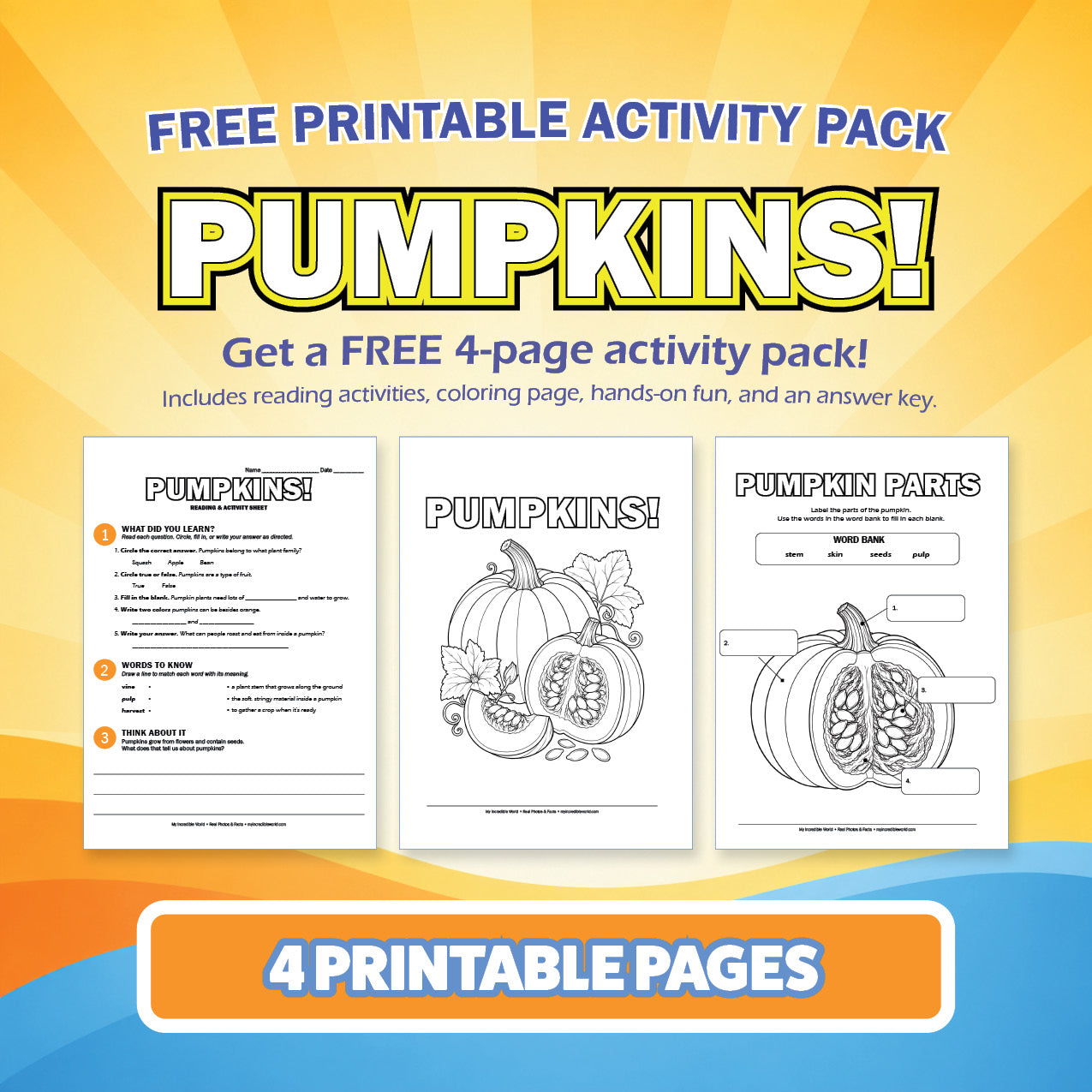 Free Pumpkins Printable Activity Pack for Kids