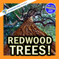 Front cover of a children's picture book titled 'REDWOOD TREES!' with a large low-angle photograph of a redwood tree trunk and branches, orange border, and promotional badges reading 'A MY INCREDIBLE WORLD Picture Book' and '20+ REAL PHOTOS & FUN FACTS!'.
