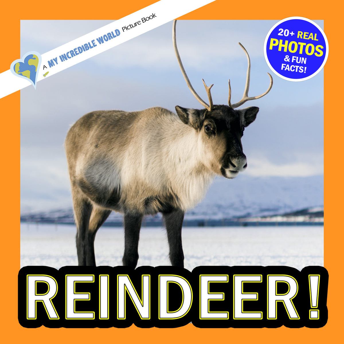 Reindeer! A My Incredible World Picture Book for Children