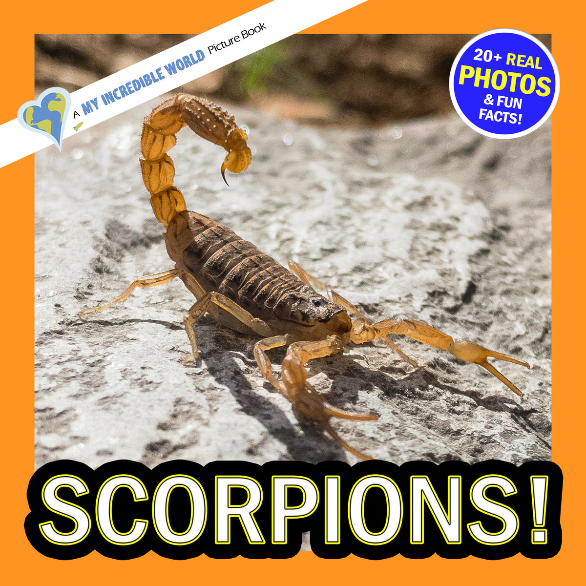 A children's picture book cover titled 'SCORPIONS!' with a large close-up photo of a scorpion on a rocky surface. The cover has an orange border, a blue circular badge reading '20+ REAL PHOTOS & FUN FACTS!', and a diagonal banner reading 'A MY INCREDIBLE WORLD Picture Book'.