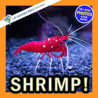 Shrimp! Classroom 10-Pack