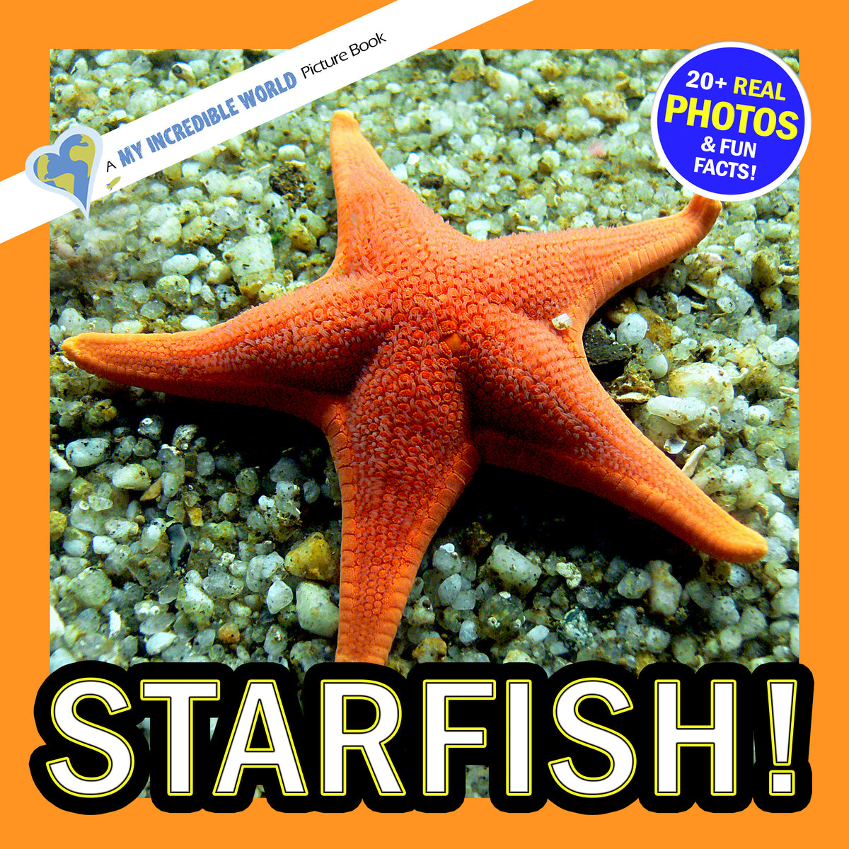 Starfish! A My Incredible World Picture Book for Children