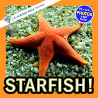 Starfish! A My Incredible World Picture Book for Children
