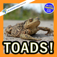 A children's picture book cover titled 'TOADS!' featuring a close-up photo of a brown and tan toad on a stone surface. The cover has an orange border, a blue circular badge reading '20+ REAL PHOTOS & FUN FACTS!', and a diagonal banner reading 'A MY INCREDIBLE WORLD Picture Book'.