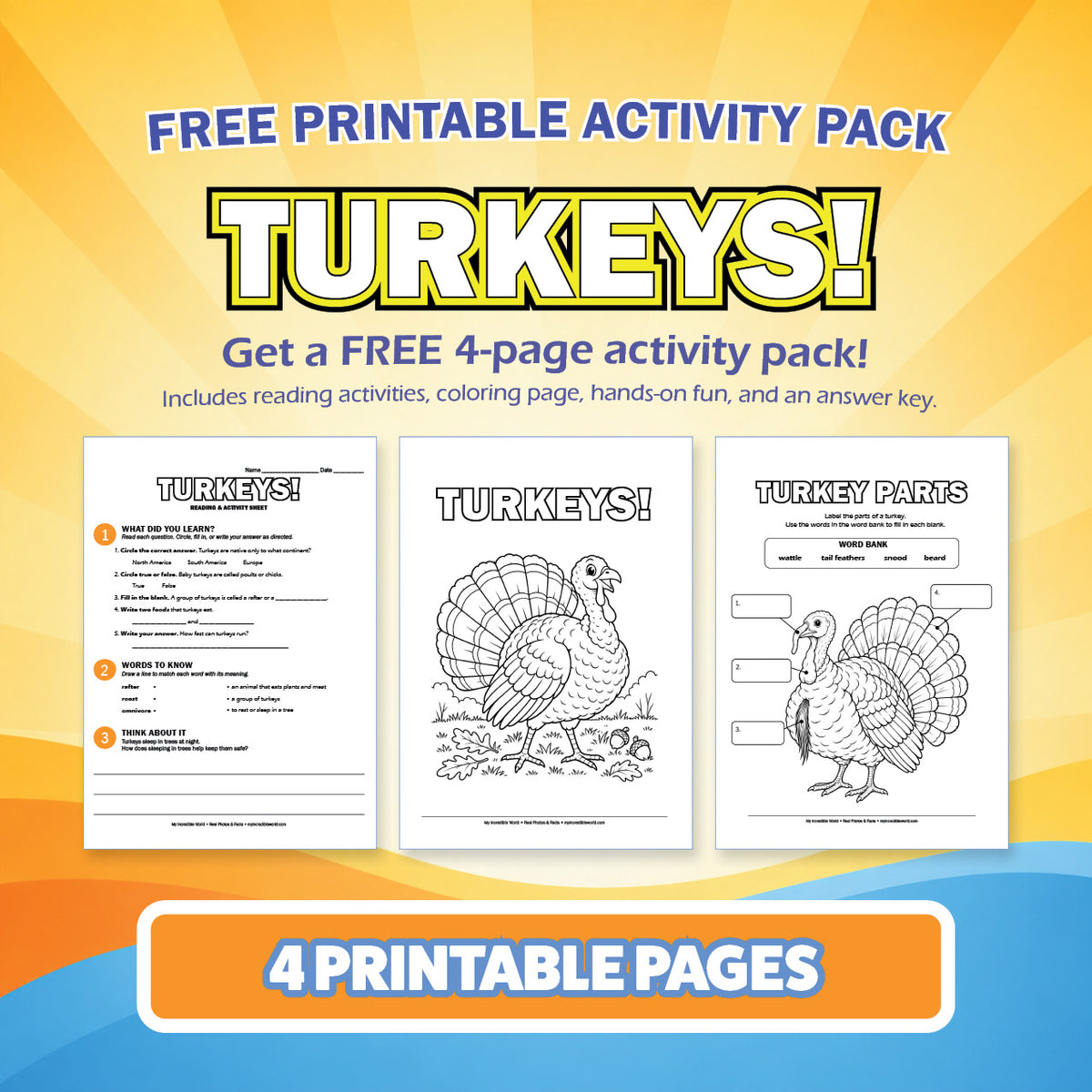 Free Turkeys Printable Activity Pack for Kids