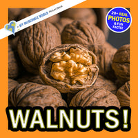 Walnuts! Classroom 10-Pack