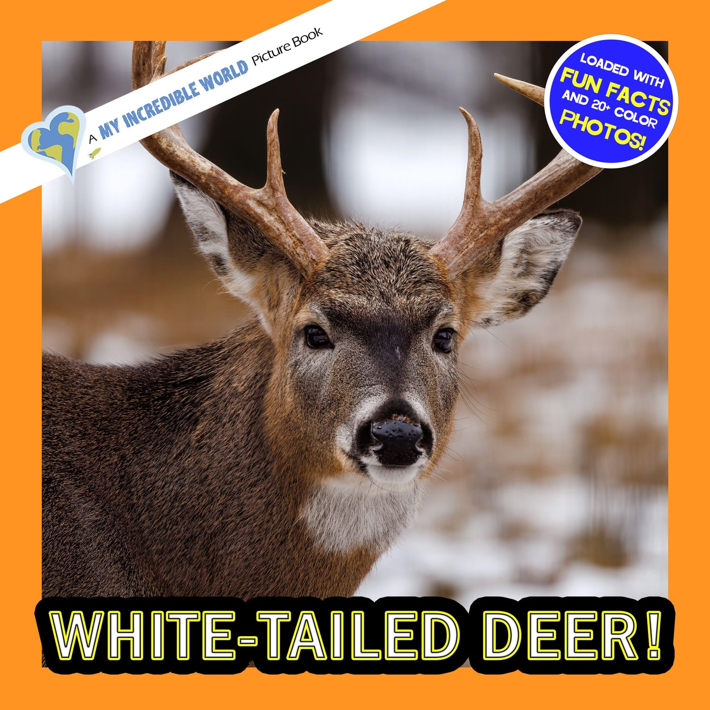 Cover of a White-Tailed Deer Book for Children with a photo of a whilte-tailed deer buck.