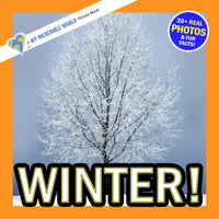 Winter! Classroom 10-Pack