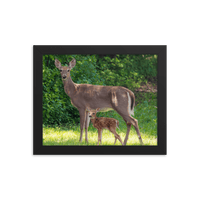 Doe and Young Fawn in Spring - Framed Print (Deer)