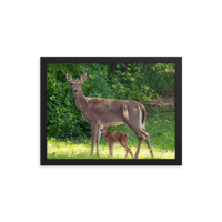 Doe and Young Fawn in Spring - Framed Print (Deer)