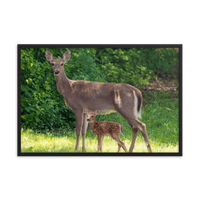 Doe and Young Fawn in Spring - Framed Print (Deer)