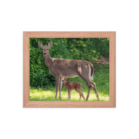 Doe and Young Fawn in Spring - Framed Print (Deer)