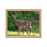 Doe and Young Fawn in Spring - Framed Print (Deer)