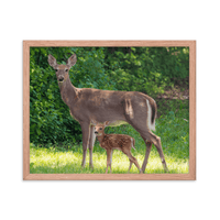 Doe and Young Fawn in Spring - Framed Print (Deer)