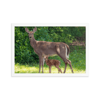 Doe and Young Fawn in Spring - Framed Print (Deer)