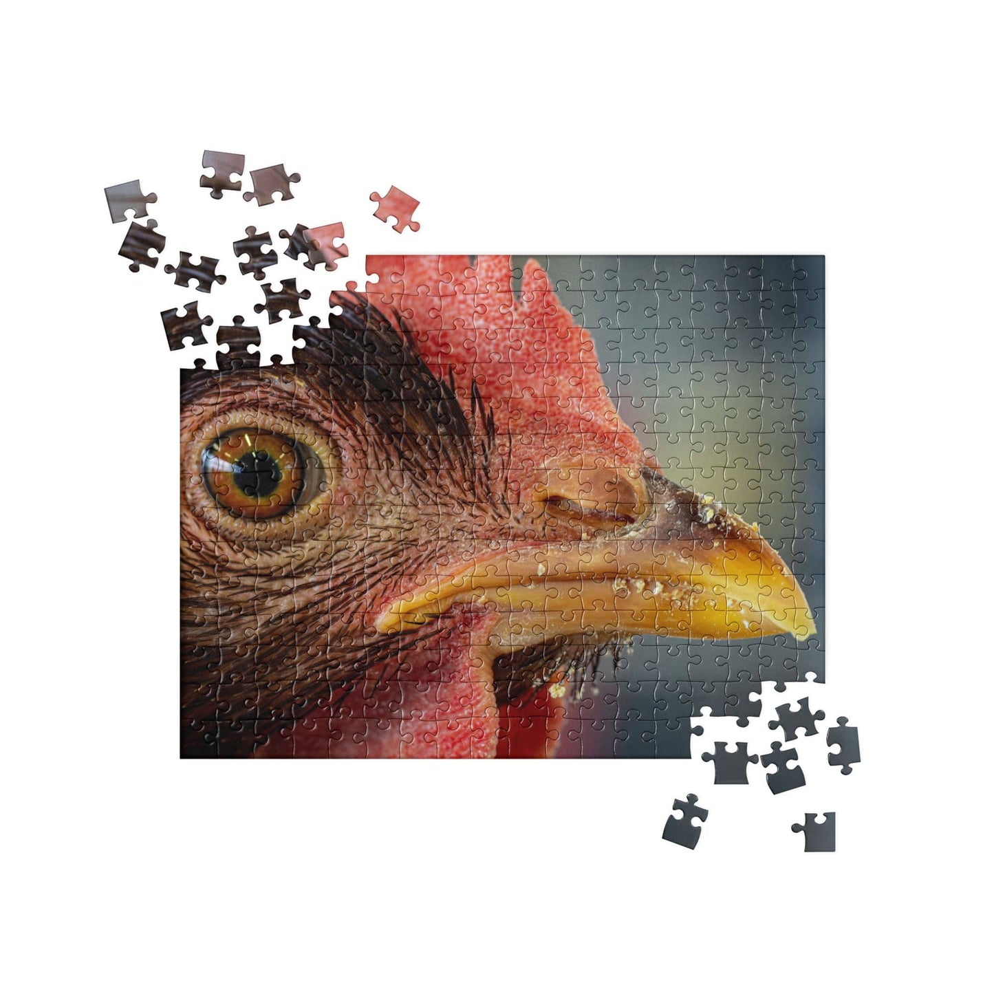 "Chicken's Gaze" Chicken Jigsaw Puzzle 252 pieces