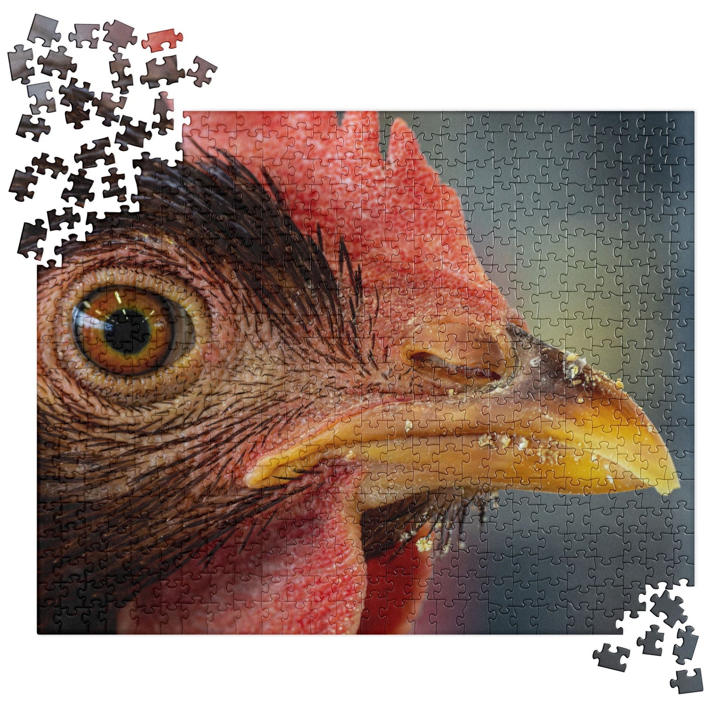 "Chicken's Gaze" Chicken Jigsaw Puzzle 520 pieces