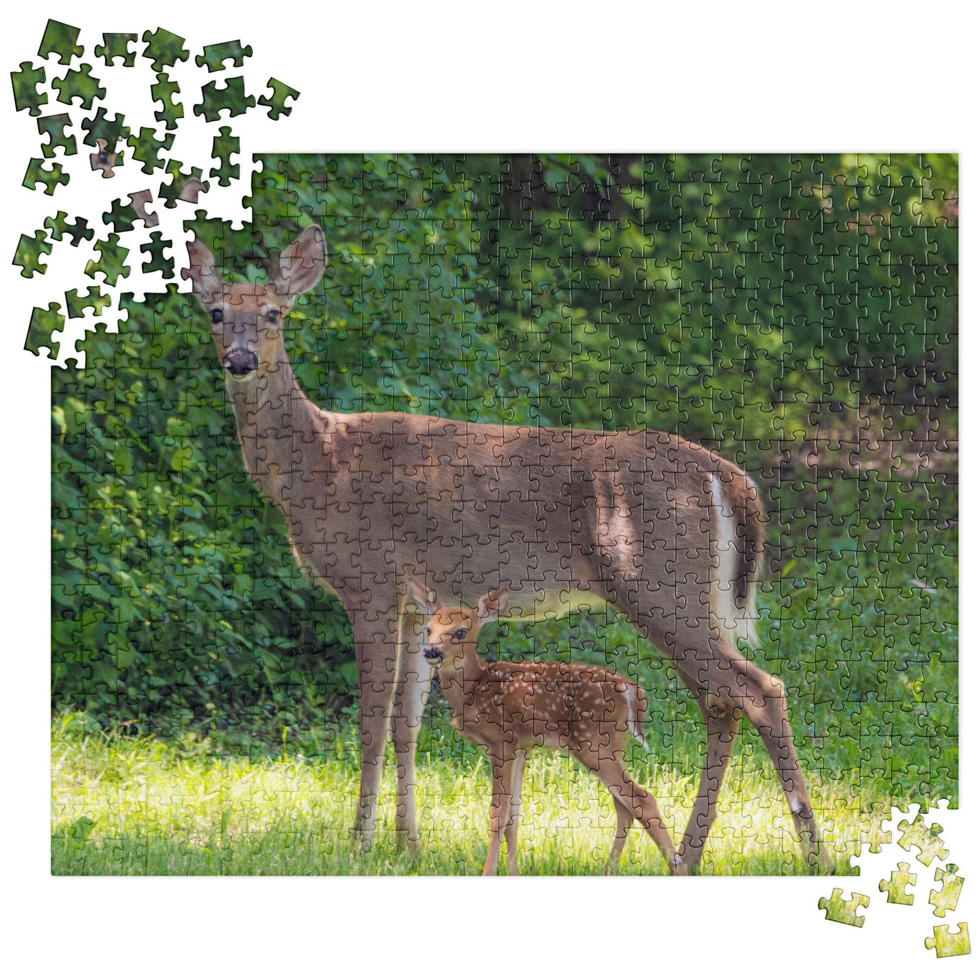 Doe and Young Fawn Jigsaw Puzzle (Deer) 520 pieces