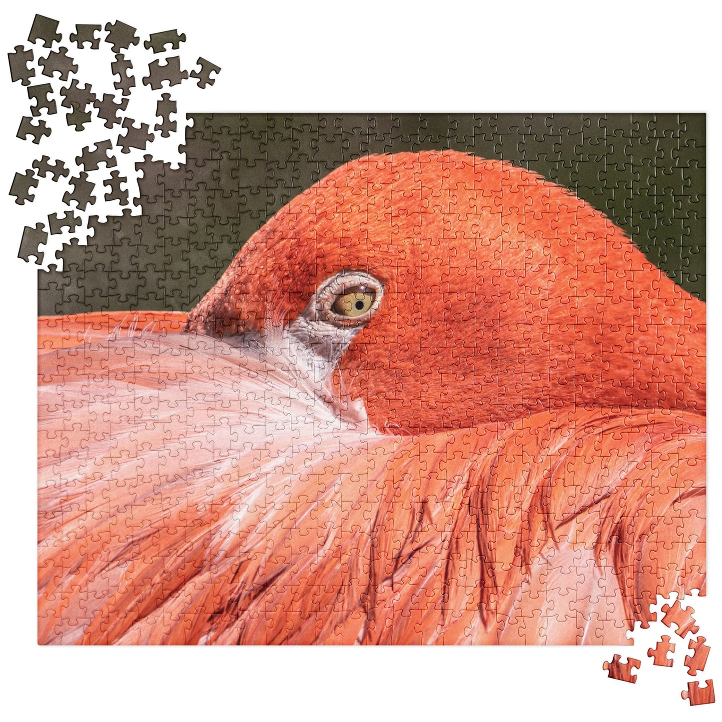 "Flamingo's Gaze" Flamingo Jigsaw Puzzle 520 pieces