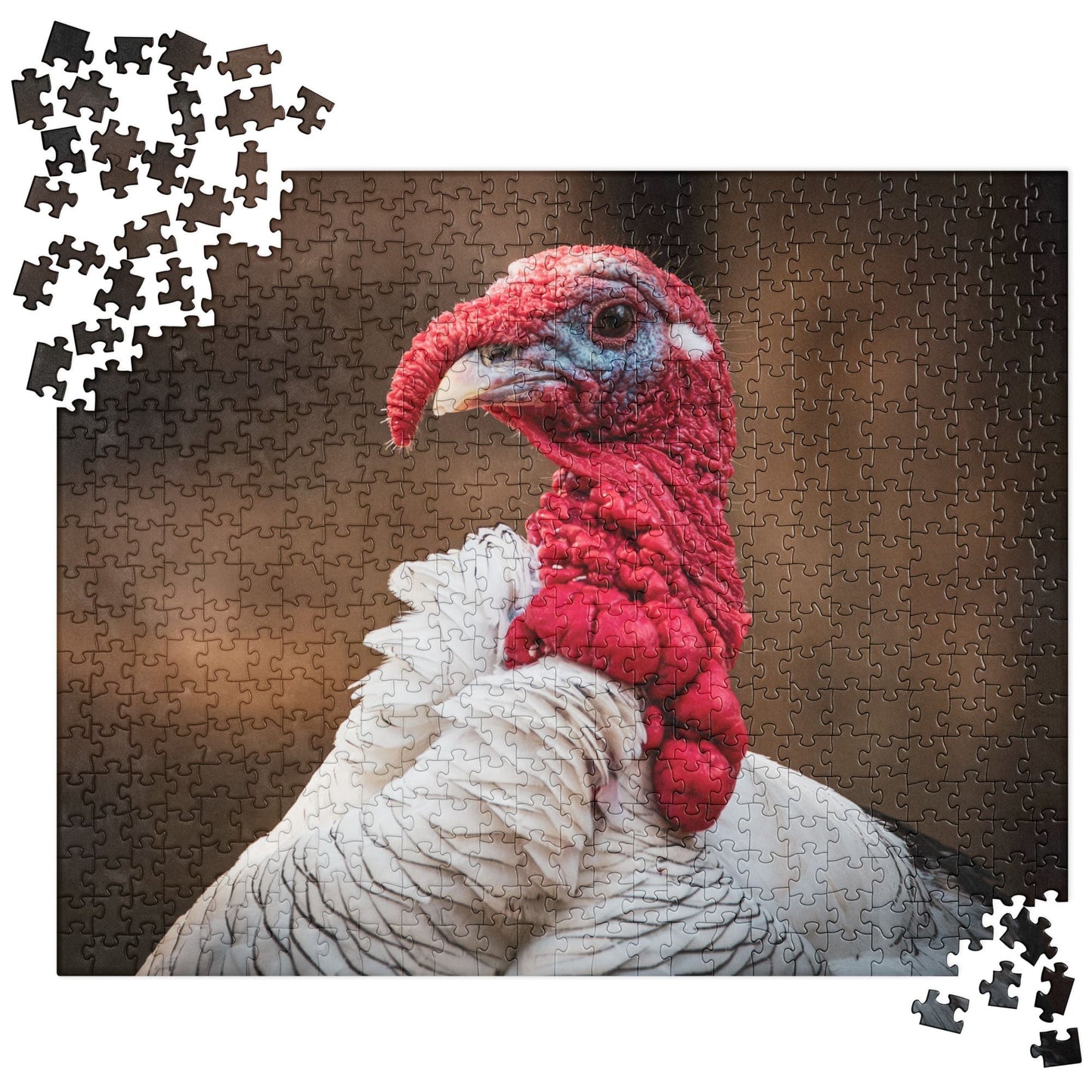 "Turkey's Gaze" Turkey Jigsaw Puzzle 520 pieces