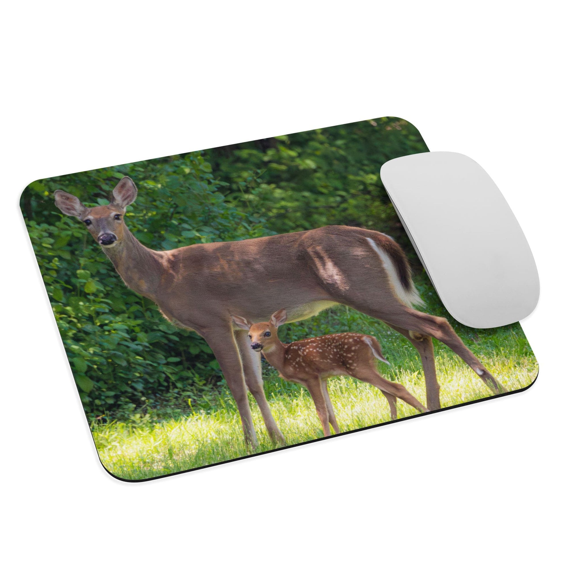 "Doe and Young Fawn in Spring" Mousepad