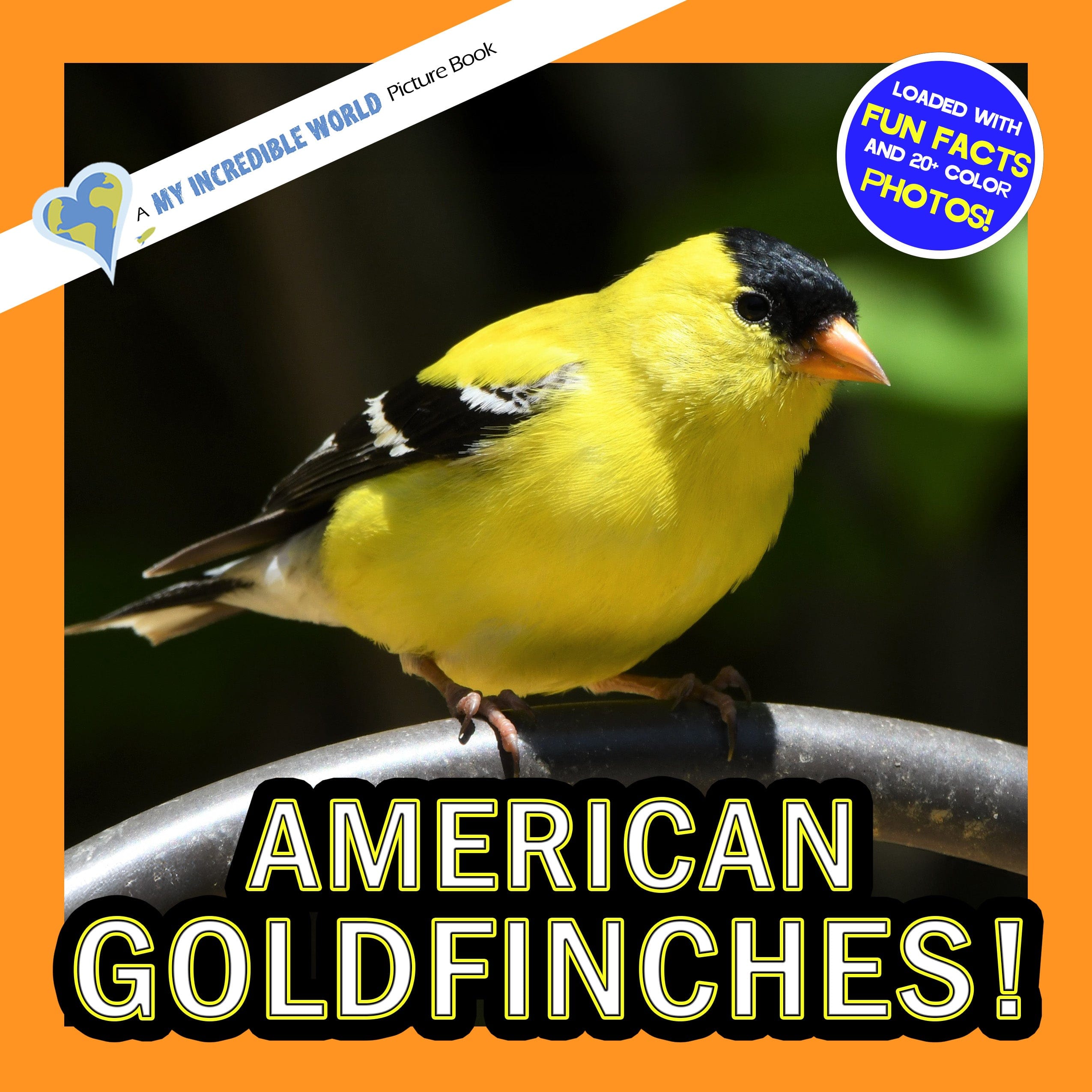 American Goldfinches! A My Incredible World Picture Book for Children