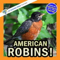 American Robins! A My Incredible World Picture Book for Children