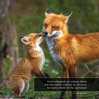 Animals from A-to-Z (Animals of the Alphabet): A My Incredible World Picture Book for Children