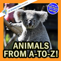 Animals from A-to-Z (Animals of the Alphabet): A My Incredible World Picture Book for Children