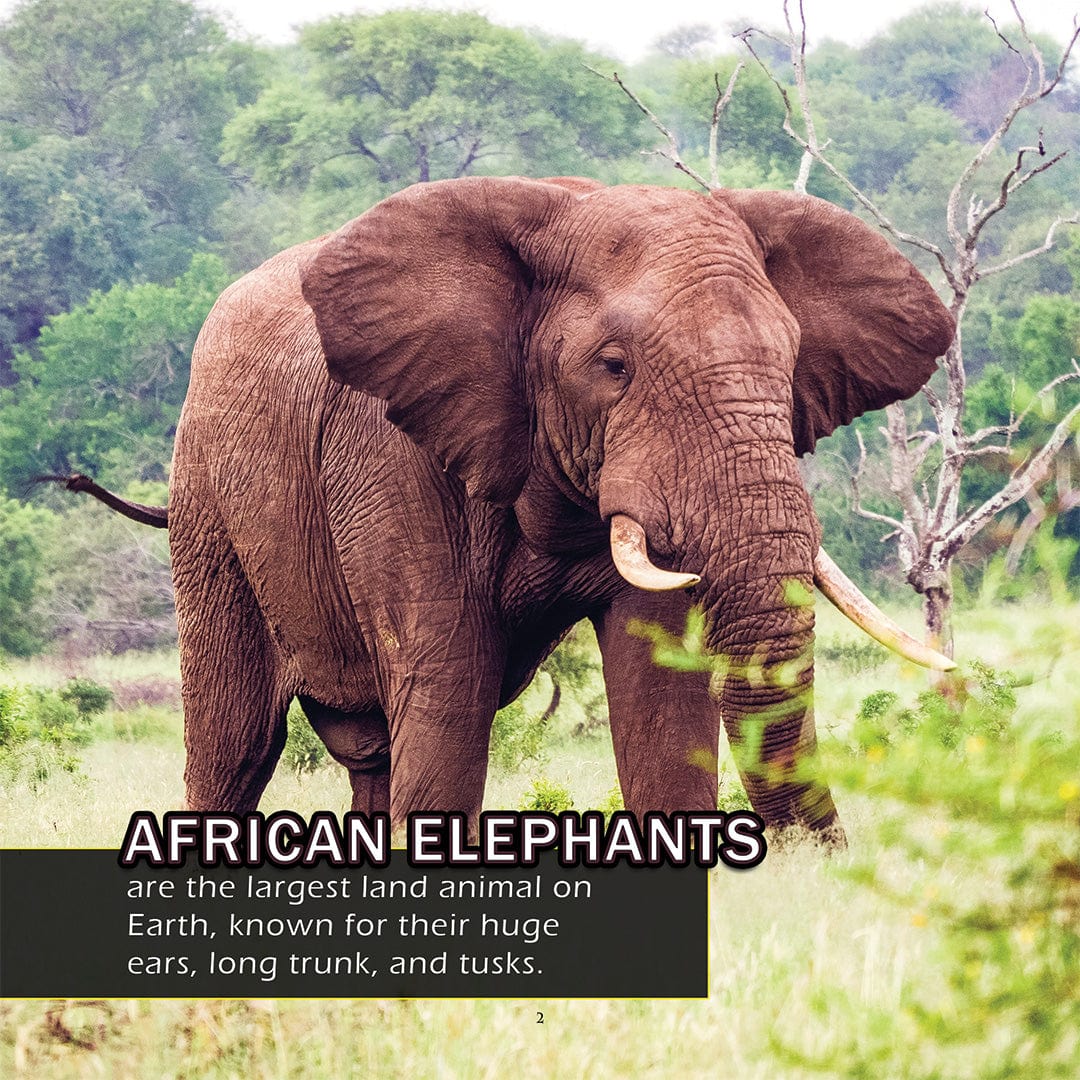 Animals of Africa! A My Incredible World Picture Book for Children